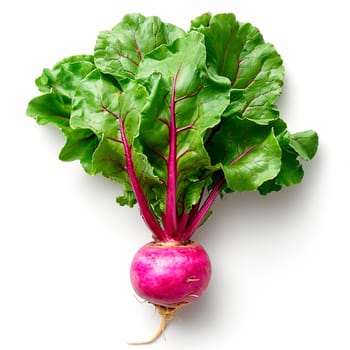 Garden crop, turnip vegetable on white isolated background AI generated image