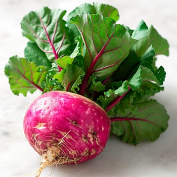 Garden crop, turnip vegetable on white isolated background AI generated image