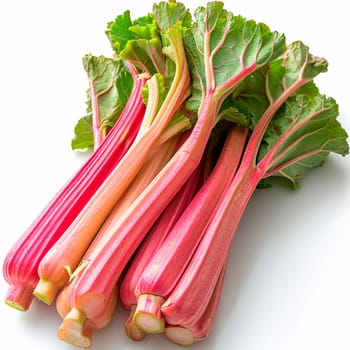 Rhubarb on a white isolated background AI generated image