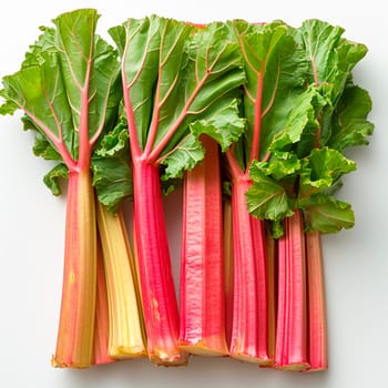 Rhubarb on a white isolated background AI generated image