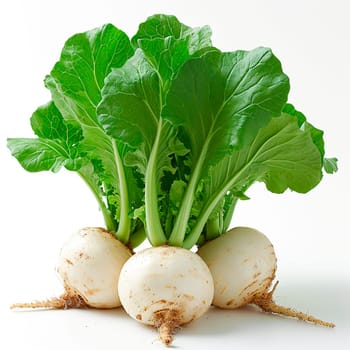 Garden crop, turnip vegetable on white isolated background AI generated image