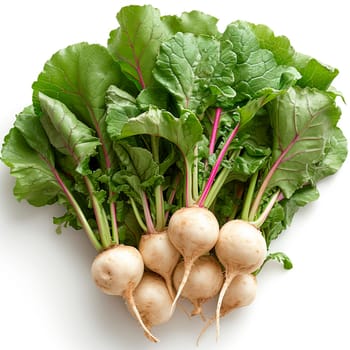 Garden crop, turnip vegetable on white isolated background AI generated image