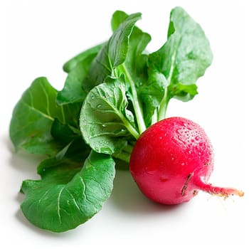 Garden crop, vegetable radish on white isolated background AI generated image