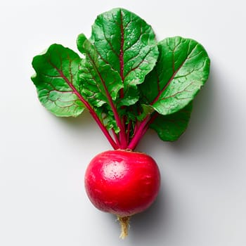 Garden crop, vegetable radish on white isolated background AI generated image