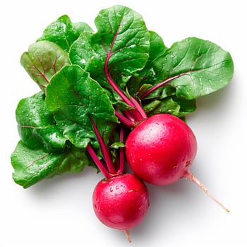 Garden crop, vegetable radish on white isolated background AI generated image