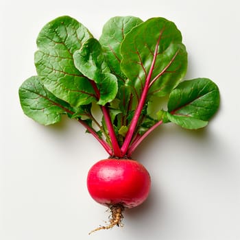 Garden crop, vegetable radish on white isolated background AI generated image
