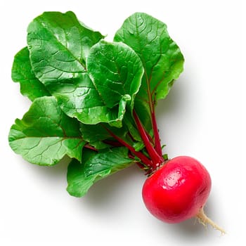 Garden crop, vegetable radish on white isolated background AI generated image