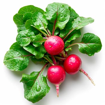 Garden crop, vegetable radish on white isolated background AI generated image