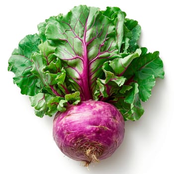 Garden crop, turnip vegetable on white isolated background AI generated image