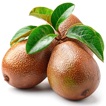 Exotic sapodilla fruit on white isolated background AI generated image