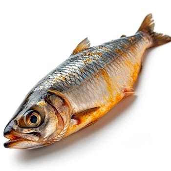 Herring on a white isolated background AI generated image