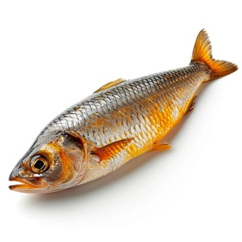Herring on a white isolated background AI generated image