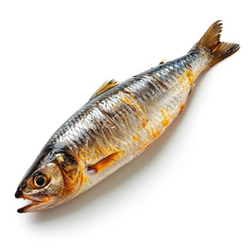 Herring on a white isolated background AI generated image