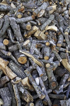Detail of pieces of wood cut for firewood
