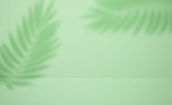 Green stage with shadow from a palm leaf for product demonstration and advertising. Copy space