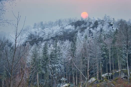 View of the great Zschirnstein with snow-covered trees and sunrise in fog, on the summit, during a hike. From the nature park in the Elbe Sandstone Mountains. Landscape from things in Germany