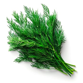 Dill, salad greens, white isolated background AI generated image