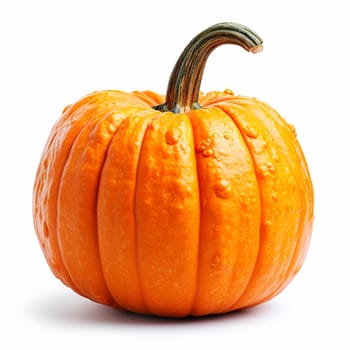 Studio shot of a beautiful decorative pumpkin on a clean white isolated background AI generated image