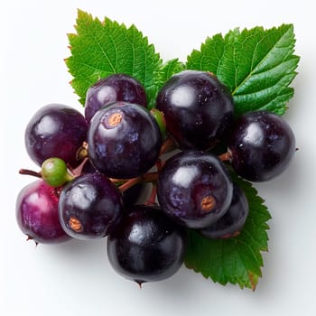 Black currant berries on a white isolated background AI generated image