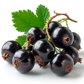 Black currant berries on a white isolated background AI generated image