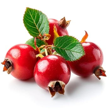 Rosehip on a white isolated background AI generated image