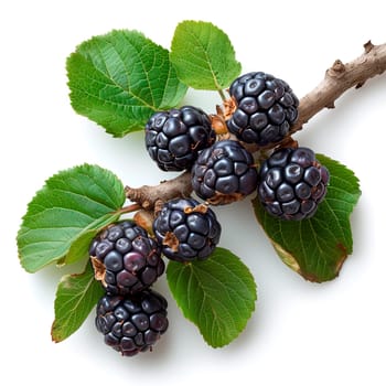 Ripe and tasty black mulberries on a white isolated background AI generated image