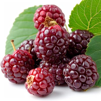 Ripe and tasty black mulberries on a white isolated background AI generated image