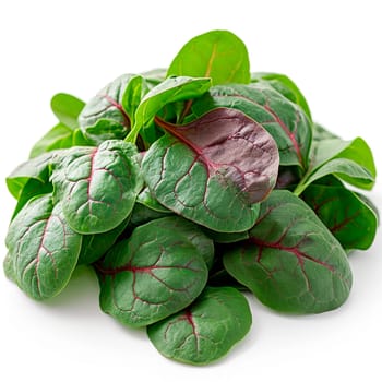 Sorrel on a white isolated background AI generated image