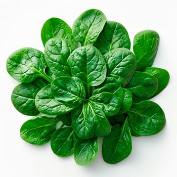 Spinach on white isolated background AI generated image
