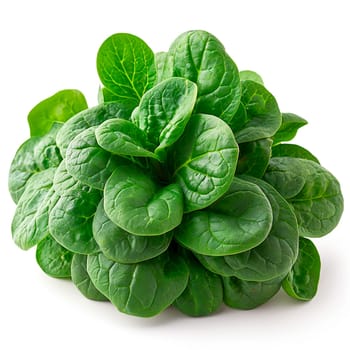 Spinach on white isolated background AI generated image