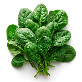 Spinach on white isolated background AI generated image