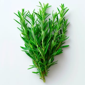 Tarragon spice on white isolated background AI generated image