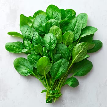 Sorrel on a white isolated background AI generated image