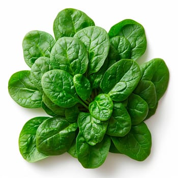 Spinach on white isolated background AI generated image