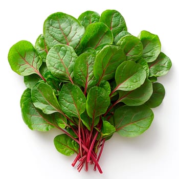 Sorrel on a white isolated background AI generated image