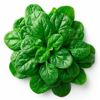 Spinach on white isolated background AI generated image