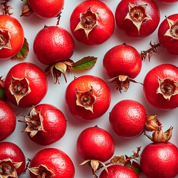 Rosehip on a white isolated background AI generated image