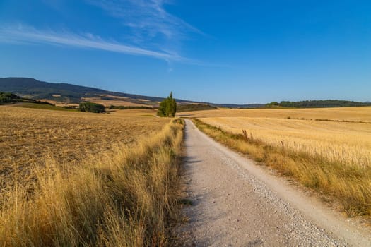 Along the Camino De Santiago, the Way of St. James pilgrimage route, Navarra, Spain.
