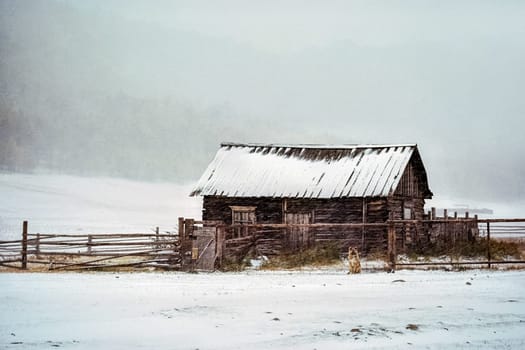 Wooden house in a snowstorm, The dog on the street is waiting for the owner