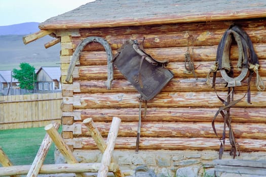 Horse harness on the wall. Accessories horse harness.