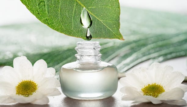 Herbal essence. Alternative healthy medicine. Skin care. Essential oil or water dropping from fresh leaf to the bottle.