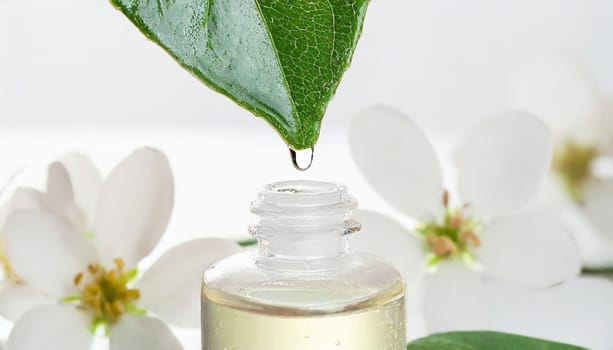 Herbal essence. Alternative healthy medicine. Skin care. Essential oil or water dropping from fresh leaf to the bottle.