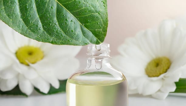 Herbal essence. Alternative healthy medicine. Skin care. Essential oil or water dropping from fresh leaf to the bottle.
