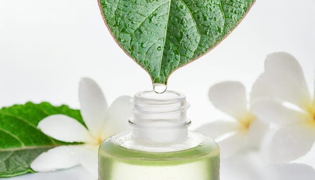 Herbal essence. Alternative healthy medicine. Skin care. Essential oil or water dropping from fresh leaf to the bottle.
