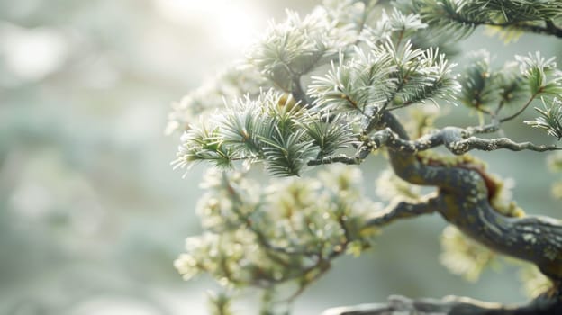 Serene bonsai with lush green foliage. Created using AI generated technology and image editing software.