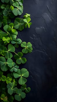 Clover with black background for St. Patricks day. Neural network generated image. Not based on any actual scene or pattern.
