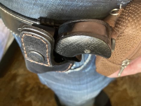 Revolver with holster for concealed carry of the weapons