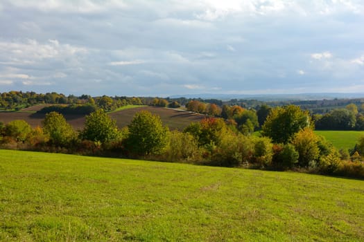 Green landscape with meadow, trees and sky