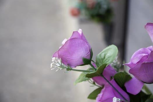 Detail of fresh flowers in a tribute for a death