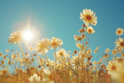 Background illustration about spring. There are flowers in the meadow in the beautiful morning sunlight with a blurred background makes you feel refreshed and want to create new things or start over.